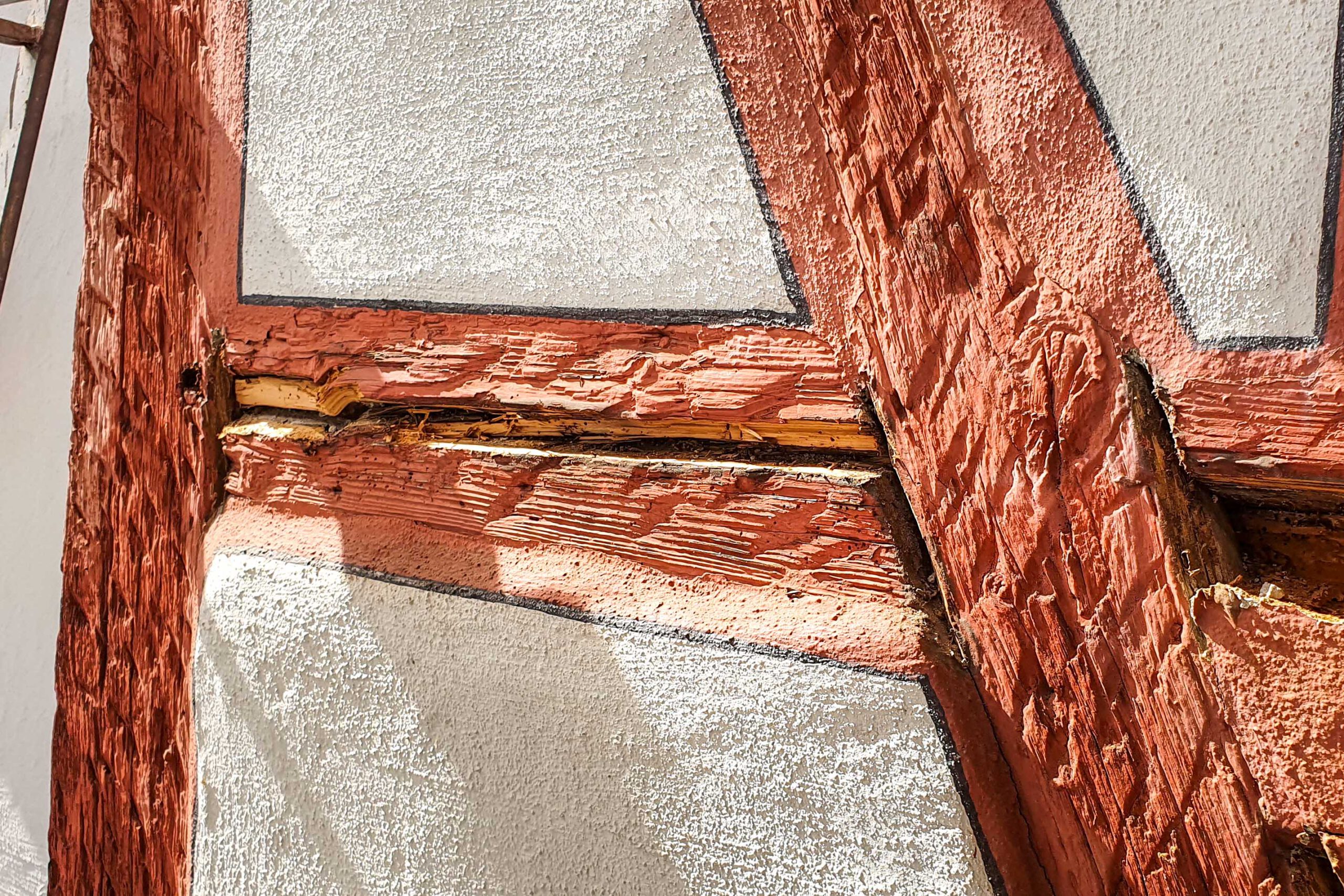 KleinertFKFarbgesaltung-13